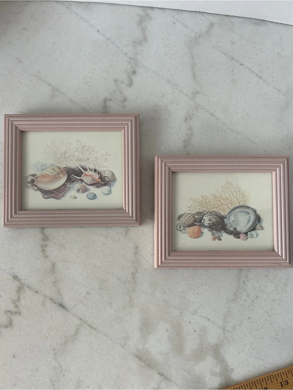 Vintage Pink Coastal Shell Wall Art Set - Home Accents